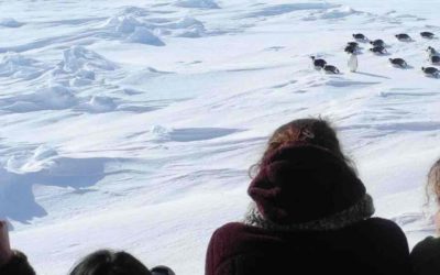 Female Scientists Lead the Way in Antarctica